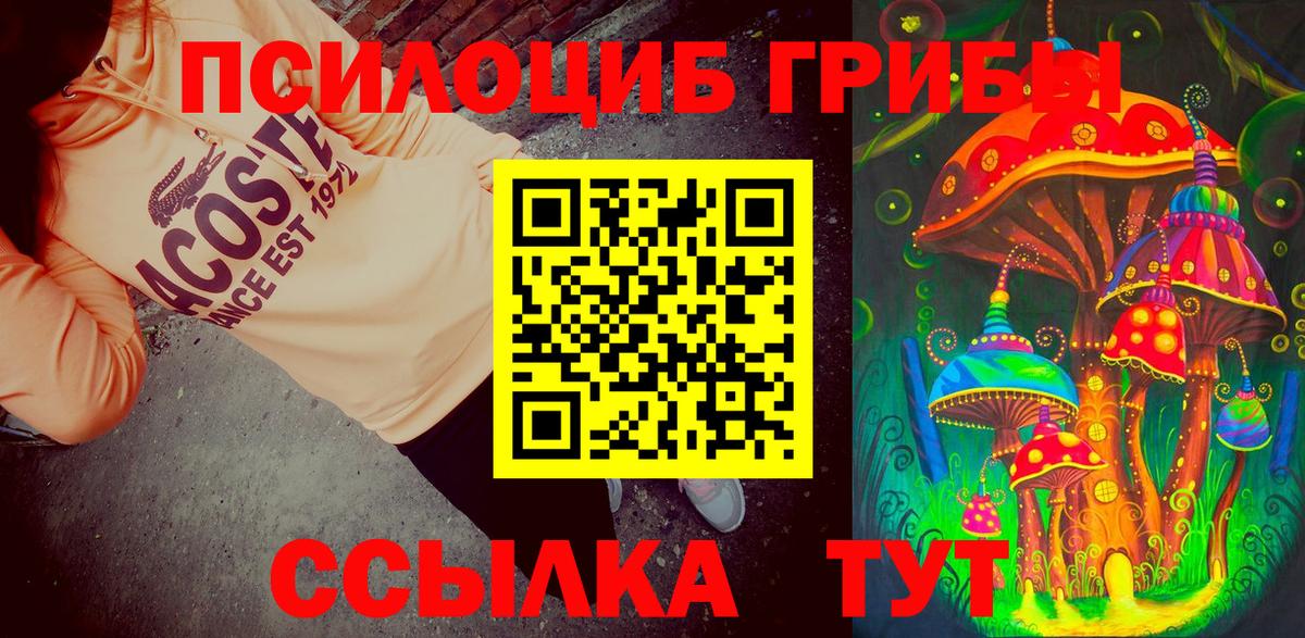 Псилоцибиновые грибы ЛСД Ессентуки