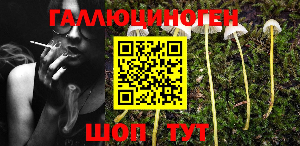 Ессентуки  Галлюциногенные грибы ЛСД  Вход с VPN  Галлюциногенные грибы мухоморы 